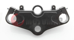 ������ ������� 250�� 169YMM �����