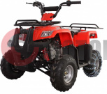 Квадроцикл Avantis Hunter Junior 110cc 4т Lite (модель 17 года!!!) Квадроцикл Avantis Hunter Junior 110cc 4т Lite (модель 17 года!!!)