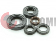 Набор сальников 4т.250см3 Taker Набор сальников 4т.250см3 Taker