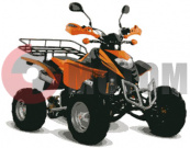 ATV Patron Scaner 250 коробка ATV Patron Scaner 250 коробка