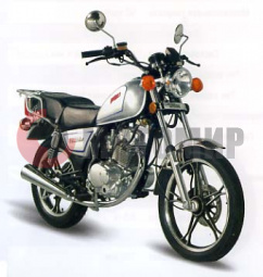 �������� Patron Tribute 125