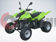 ATV QuadRaider 300 SS зеленый зависимая подвеска ATV QuadRaider 300 SS зеленый зависимая подвеска