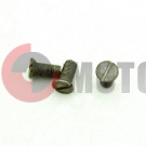 ���� ��������� ����