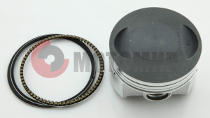 ������� 250ZH � ��.