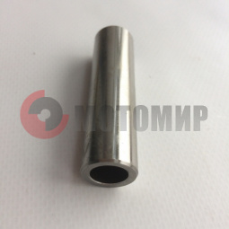 ����� ������� ����� (18) ������