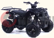 ATV Irbis 110 U ATV Irbis 110 U