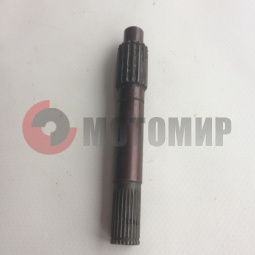 ��� ����� ����������� �����