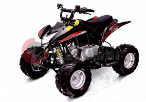 Квадроцикл детский FUSIM Shark 50 черный Квадроцикл детский FUSIM Shark 50 черный