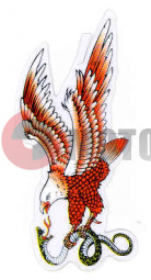 �������� ���� � ���� ����