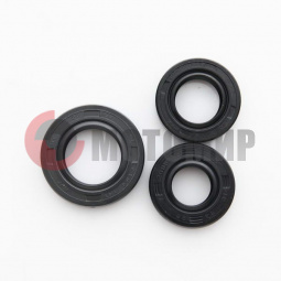 Набор сальников 4т.250см3 166FMM (CB250) Набор сальников 4т.250см3 166FMM (CB250)