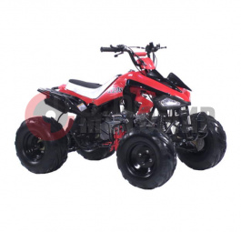 ATV Irbis 110 S ATV Irbis 110 S