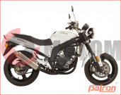 �������� Patron TAKER 250 2011++++