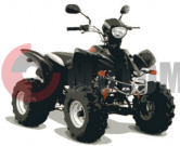 ATV Patron Scaner 110 ATV Patron Scaner 110