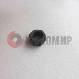 ����� �8