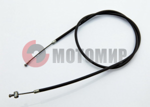 ���� ����� ���������