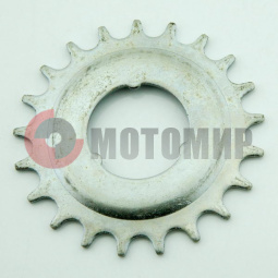 ��������� ���� ����.21 ���