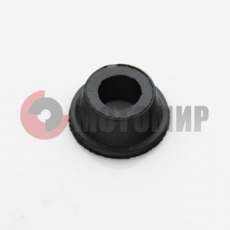 ������ �� ��������� ���� ��������� 