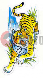 �������� ���� 1 ������