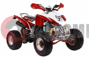 ATV Irbis 250 S ATV Irbis 250 S