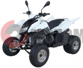 ATV QuadRaider 300 SD белый независимая подвеска ATV QuadRaider 300 SD белый независимая подвеска
