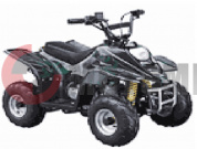 ATV Irbis 50 S ATV Irbis 50 S