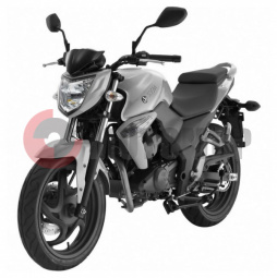 �������� SYM Wolf T2 250 ����� �������