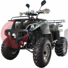 ���������� Avantis Hunter 200 2017 ��� (new)