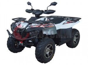 ATV QuadRaider 600 NEW белый ATV QuadRaider 600 NEW белый
